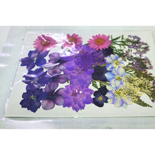 Încărcați imaginea în Galerie, Plante si Flori Presate Uscate Naturale Mix Decorative Mov-Roz