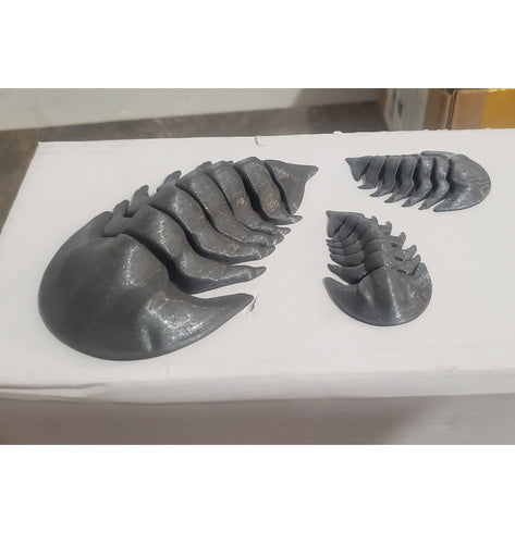 Obiect Decor Cadou Statueta Set 3 Figurine din Imprimat 3D din Acril Trilobit Fosile de Viata Preistorica Ocean Life