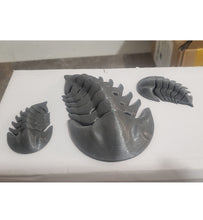 Încărcați imaginea în Galerie, Obiect Decor Cadou Statueta Set 3 Figurine din Imprimat 3D din Acril Trilobit Fosile de Viata Preistorica Ocean Life Cadou casa