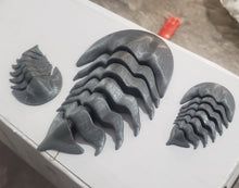 Încărcați imaginea în Galerie, Obiect Decor Cadou Statueta Set 3 Figurine din Imprimat 3D din Acril Trilobit Fosile de Viata Preistorica Ocean Life
