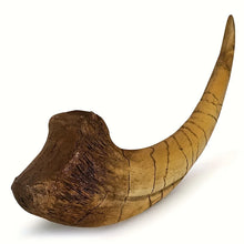 Încărcați imaginea în Galerie, Obiect Decor Cadou Statueta din Rasina Fosila Corn de Dinozaur Colt Tiranosaurus