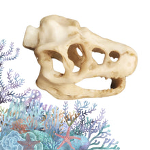 Încărcați imaginea în Galerie, Obiect Decor Cadou Statueta din Rasina Replica Imitatie Schelet Fosila Craniu de Crocodil Decoratiune Ornament