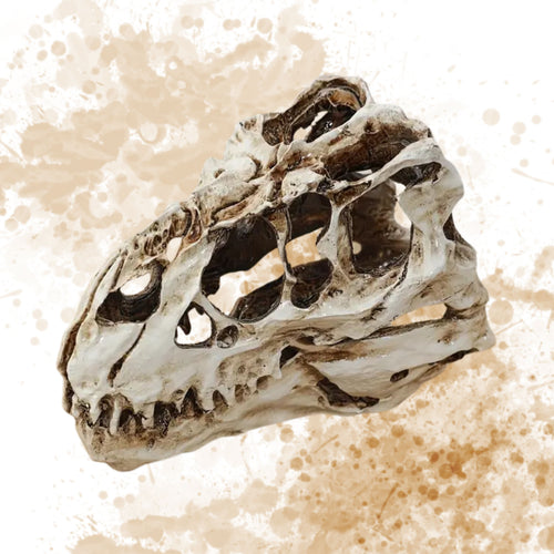 Obiect Decor Cadou Statueta din Rasina Replica Imitatie Schelet Fosila Craniu de Cap de Dinozaur Tiranozaur