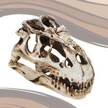Încărcați imaginea în Galerie, Obiect Decor Cadou Statueta din Rasina Replica Imitatie Schelet Fosila Craniu de Cap de Dinozaur Tiranozaur reproducere