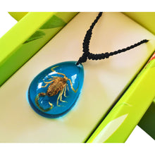 Încărcați imaginea în Galerie, Colier cu Pandantiv din Snur Impletit cu Insecta Reala Naturala in Cutie Cadou Domni Barbati Scorpion Auriu-Turcoaz 18x25 mm