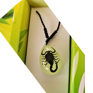 Colier cu Pandantiv din Snur Impletit cu Insecta Reala Naturala in Cutie Cadou Domni Barbati Scorpion Negru-Transparent 18x25 mm