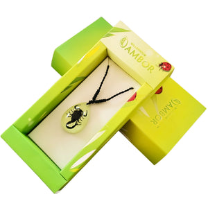 Colier cu Pandantiv din Snur Impletit cu Insecta Reala Naturala in Cutie Cadou Domni Barbati Scorpion Negru-Transparent 18x25 mm