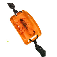 Încărcați imaginea în Galerie, Bratara Barbateasca Snur Impletit cu Insecta Reala Scorpion Ambra-Auriu in Cutie Cadou Domni Barbati Scorpion 22x36 mm Accesorii