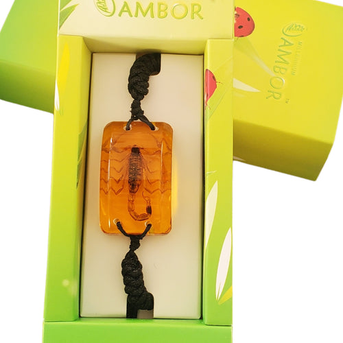 Bratara Barbateasca Snur Impletit cu Insecta Reala Scorpion Ambra-Auriu in Cutie Cadou Domni Barbati Scorpion  22x36 mm