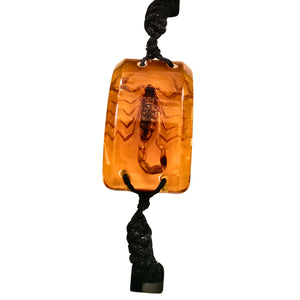 Bratara Barbateasca Snur Impletit cu Insecta Reala Scorpion Ambra-Auriu in Cutie Cadou Domni Barbati Scorpion 22x36 mm Negru