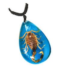 Încărcați imaginea în Galerie, Colier cu Pandantiv din Snur Impletit cu Insecta Reala Naturala in Rasina in Cutie Cadou Domni Barbati Scorpion Auriu-Turcoaz 23x35 mm Accesorii