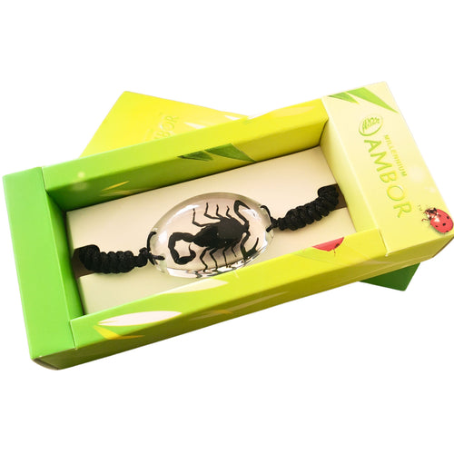 Bratara Barbateasca Snur Impletit cu Insecta Reala Naturala in Cutie Cadou Domni Barbati Scorpion Tranlucid-Negru 25x35 mm