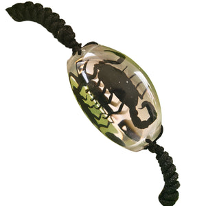 Bratara Barbateasca Snur Impletit cu Insecta Reala Naturala in Cutie Cadou Domni Barbati Scorpion Tranlucid-Negru 25x35 mm