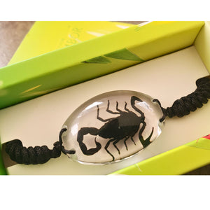 Bratara Barbateasca Snur Impletit cu Insecta Reala Naturala in Cutie Cadou Domni Barbati Scorpion Tranlucid-Negru 25x35 mm