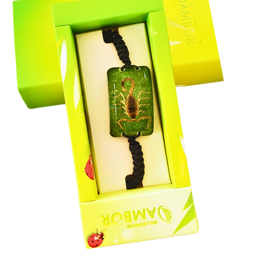 Bratara Barbateasca Snur Impletit cu Insecta Reala Scorpion Verde-Auriu in Cutie Cadou Domni Barbati Scorpion  22x36 mm