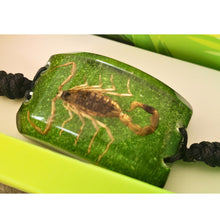 Încărcați imaginea în Galerie, Bratara Barbateasca Snur Impletit cu Insecta Reala Scorpion Verde-Auriu in Cutie Cadou Domni Barbati Scorpion Veninos Insecte Reale 22x36 mm