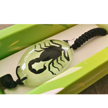 Încărcați imaginea în Galerie, Bratara Barbateasca Snur Impletit cu Insecta Reala Scorpion Transparent-Negru in Cutie Cadou Domni Barbati 25x35 mm Insecte Accesorii Reale Bijuterii