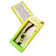 Încărcați imaginea în Galerie, Bratara Barbateasca Snur Impletit cu Insecta Reala Scorpion Transparent-Negru in Cutie Cadou Domni Barbati 25x35 mm Insecte Reale