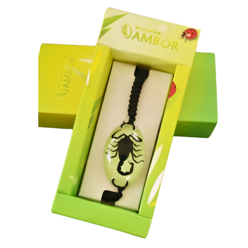 Bratara Barbateasca Snur Impletit cu Insecta Reala Scorpion Transparent-Negru in Cutie Cadou Domni Barbati 25x35 mm