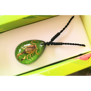 Colier cu Pandantiv din Snur Impletit cu Insecta Reala Naturala in Cutie Cadou Domni Barbati Scorpion Auriu-Verde 18x25 mm Bijuterii