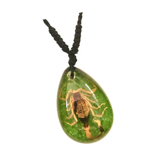 Colier cu Pandantiv din Snur Impletit cu Insecta Reala Naturala in Cutie Cadou Domni Barbati Scorpion Auriu-Verde 18x25 mm Insecte reale