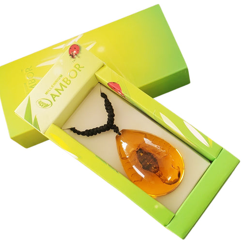 Colier cu Pandantiv din Snur Impletit cu Insecta Reala Naturala in Rasina in Cutie Cadou Domni Barbati Scorpion Auriu-Gold 35x45 mm