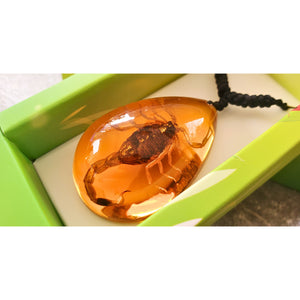 Colier cu Pandantiv din Snur Impletit cu Insecta Reala Naturala in Rasina in Cutie Cadou Domni Barbati Scorpion Auriu-Gold 35x45 mm Insecte reale