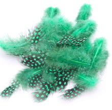 Încărcați imaginea în Galerie, Pene Fulgi de Bibilica de Guineea Naturale Decorative Puf Lucru Manual Set Set Verde Padure Intens 6-12 cm 20 buc