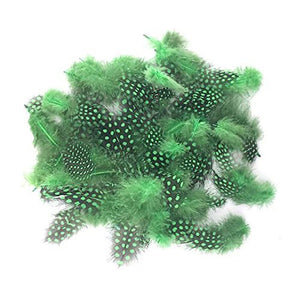 Pene Fulgi de Bibilica de Guineea Naturale Decorative Puf Lucru Manual Set Set Verde Padure Intens 6-12 cm 20 buc Craft
