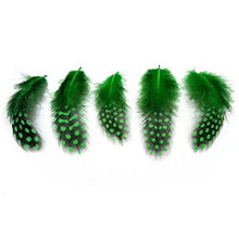 Încărcați imaginea în Galerie, Pene Fulgi de Bibilica de Guineea Naturale Decorative Puf Lucru Manual Set Set Verde Padure Intens 6-12 cm 20 buc Hobby Handmade