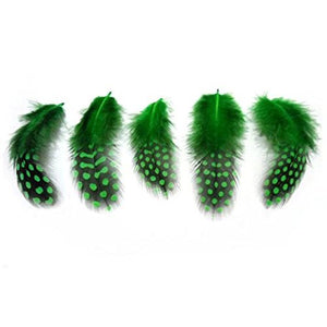 Pene Fulgi de Bibilica de Guineea Naturale Decorative Puf Lucru Manual Set Set Verde Padure Intens 6-12 cm 20 buc Hobby Handmade