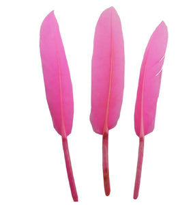 Pene Fulgi Coada de Porumbel Naturale Decorative Puf Lucru Manual Hobby Craft Set Roz Intens 10-14 cm 20 buc