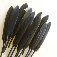 Încărcați imaginea în Galerie, Pene Fulgi Coada de Porumbel Naturale Decorative Puf Lucru Manual Hobby Craft Set Negre Negru 10-14 cm 20 buc