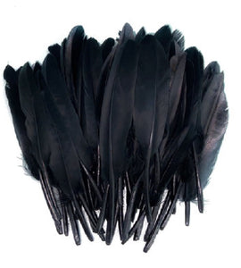 Pene Fulgi Coada de Porumbel Naturale Decorative Puf Lucru Manual Hobby Craft Set Negre Negru 10-14 cm 20 buc