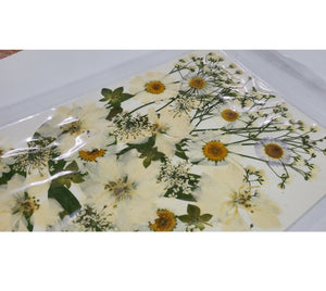 Set Cadou Plante si Flori Presate si Uscate Naturale Mix Decorative Alb-Galbene mici