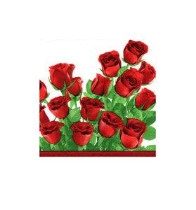 Servetele de Masa cu Flori Pachet 10 Buc Buchet de Trandafiri Rosu Intens