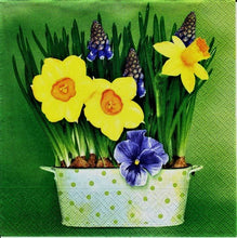 Încărcați imaginea în Galerie, Servetele cu Model Floral de Masa Set 10 Buc Jardiniera cu Narcise si Panselute 33x33 cm