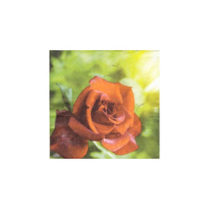 Servetele cu Model Floral de Masa Pachet 10 Buc Trandafir Rosu din Gradina Mea 33x33 cm