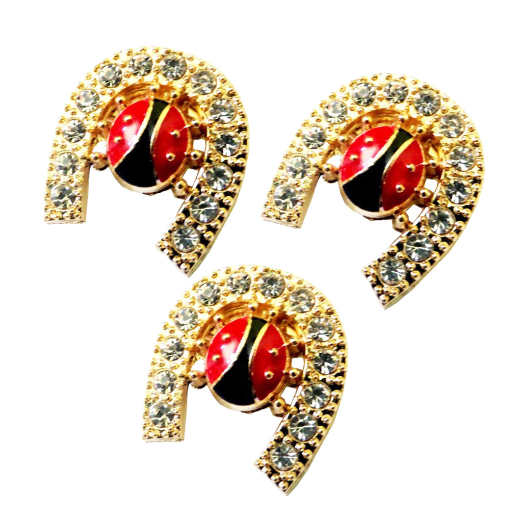 Bijuterie Brosa Martisor din Metal cu Strasuri Buburuza pe Potcoava 1 8 Martie Cadou Doamne
