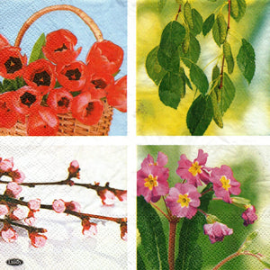 Buchet de Trandafiri Rosii 33x33 cm Bujori si Orhidee Set Pachet 10 buc 33x33 cm