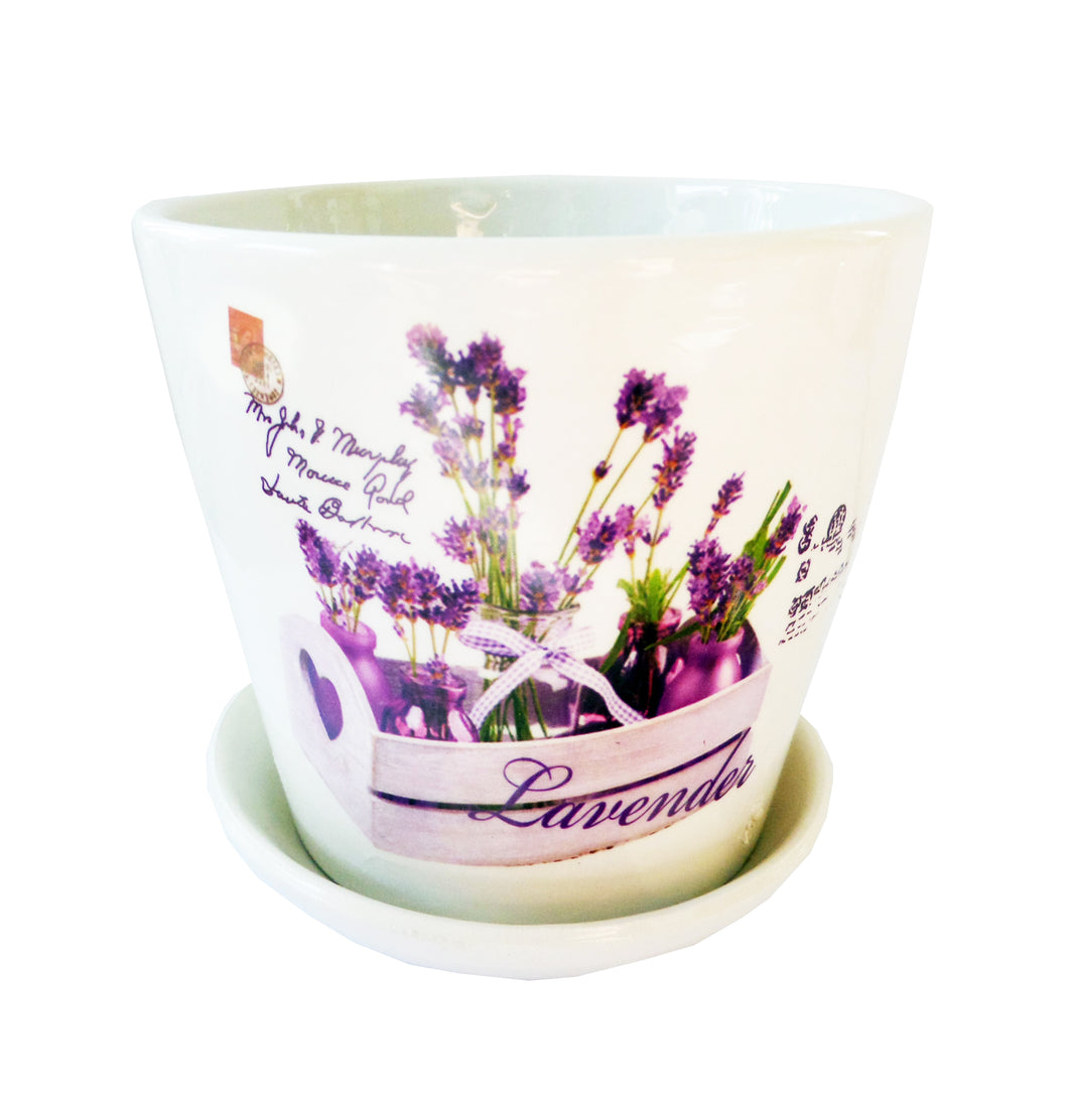 Ghiveci de Flori cu Farfurioara din Ceramica Model Ladita cu Fire de Lavanda Carte Postala 10-00-9.50 cm