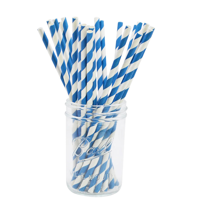 Paie din Carton Set 12 buc Petrecere Party Cocktail Dungi Albastru Inchis Mairin