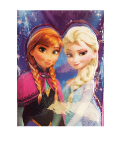 Penar de Scoala Echipat 3D cu Rechizite 2 Fermoare Frozen Ana si Elsa Olaf Regatul de Gheata Sven